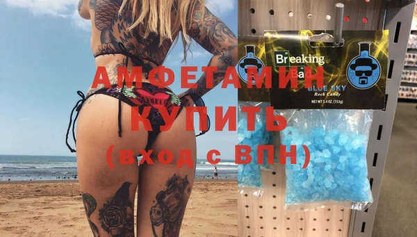 сатива Алзамай