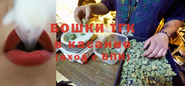 молекула духа Алексеевка