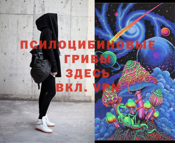 сатива Алзамай